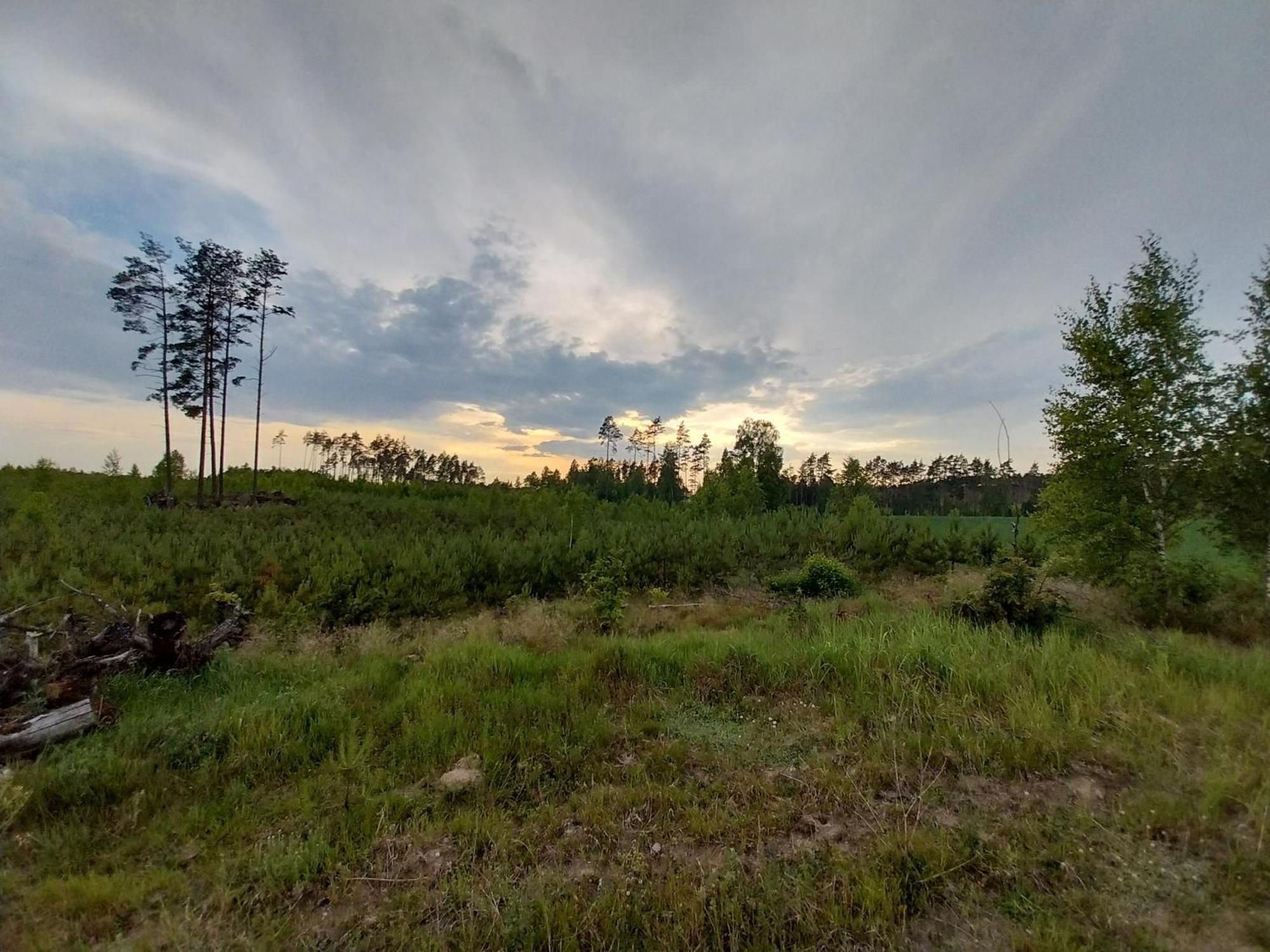 Villa Wypoczynek Kocia Góra Dziemiany Exterior foto
